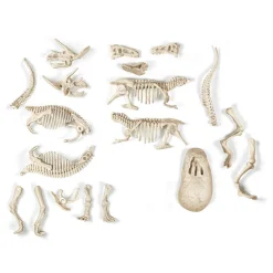 Clementoni Archeo Ludic Trex et Triceratops^ Autres Jeux Scientifiques