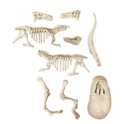 Clementoni Archéo Ludic Vélociraptor^ Botanique Et Géologie