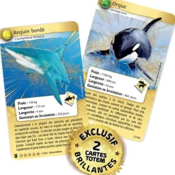 Bioviva Coffret Défis nature Protect 4 boosters Orque et requins^ Cartes À Collectionner
