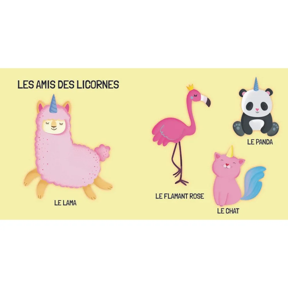 Sassi Coffret Qbox puzzle 40 pièces et Livre : Les licornes^Enfant Puzzles Bébés Et Enfants