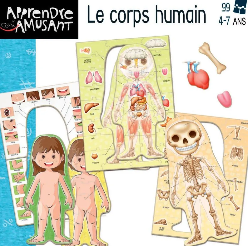 Educa Borras - Le Corps Humain, Jeu Éducatif^ Apprentissage Des Parties Du Corps
