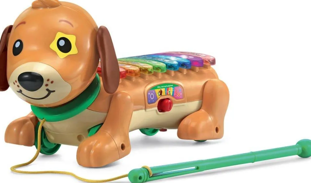 VTech Elton mon rouli xylophone^ Jouets D'Éveil Électroniques