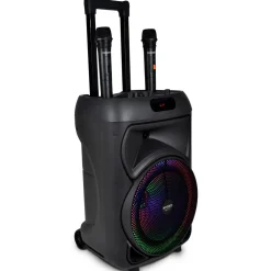 Bontempi Enceinte 300 watts sans fil^ High Tech Et Multimédia