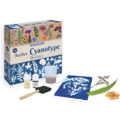 Sentosphu00e8re Herbier - atelier cyanotype^ Botanique Et Géologie