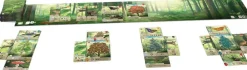 Asmodu00e9e Jeu De Forêt Mixte^ Jeux De Stratégie Et De Réflexion
