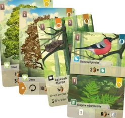 Asmodu00e9e Jeu De Forêt Mixte^ Jeux De Stratégie Et De Réflexion
