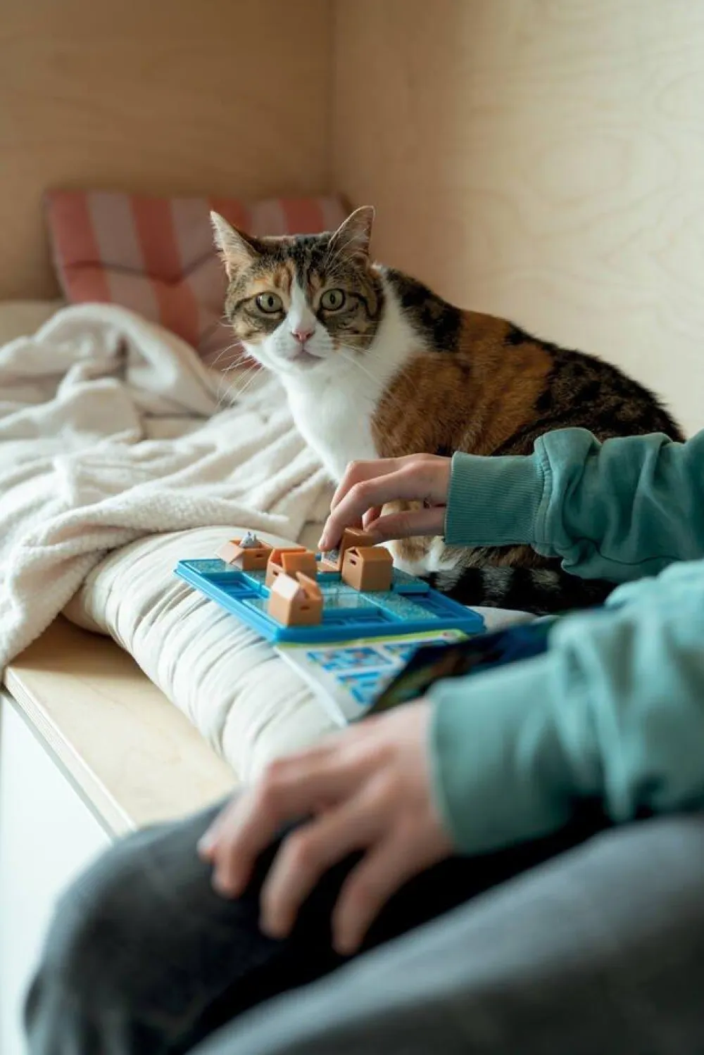 Smart Games Jeu de reflexion - Chats Tournent En Rond^ Jeux De Stratégie Et De Réflexion