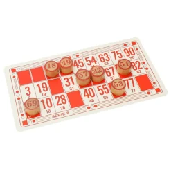 Nom d'un pion Jeu du loto Master Senior^ Jeux Traditionnels Et Poker
