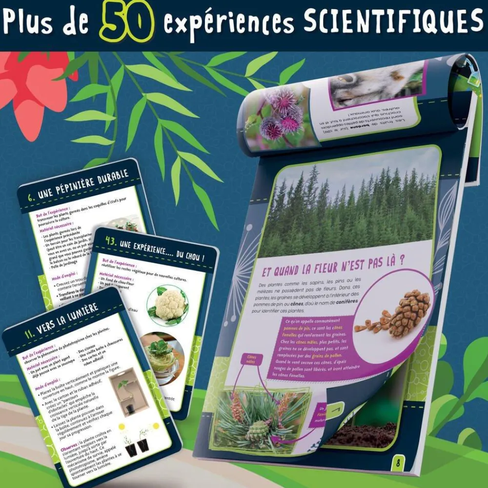 Lisciani Giochi Kit Scientifique - I'm A Genius Botanique, 50 Expériences, Arbre bio-plastique^ Botanique Et Géologie