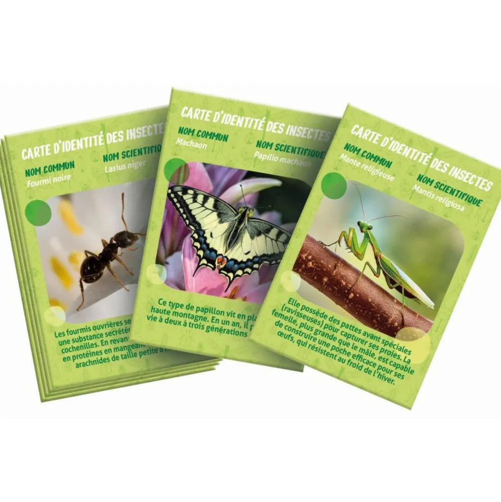 Clementoni La maison des insectes^ Botanique Et Géologie