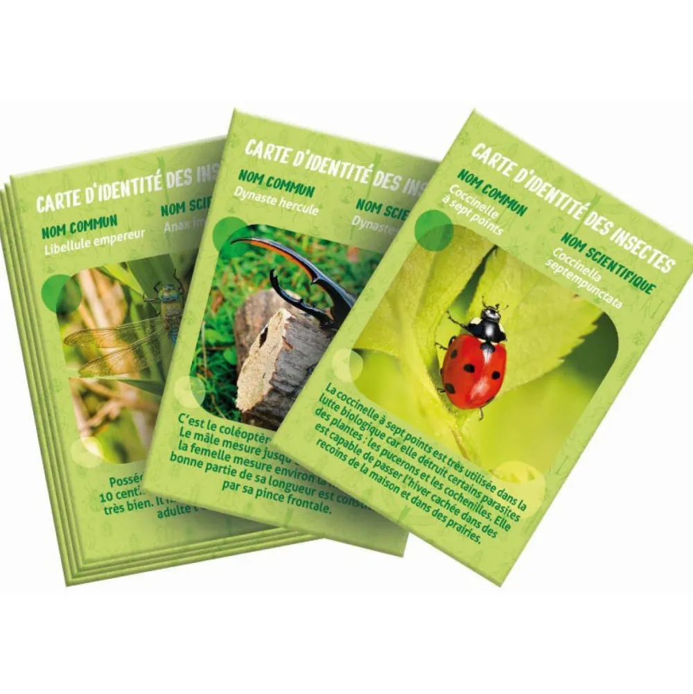 Clementoni La maison des insectes^ Botanique Et Géologie