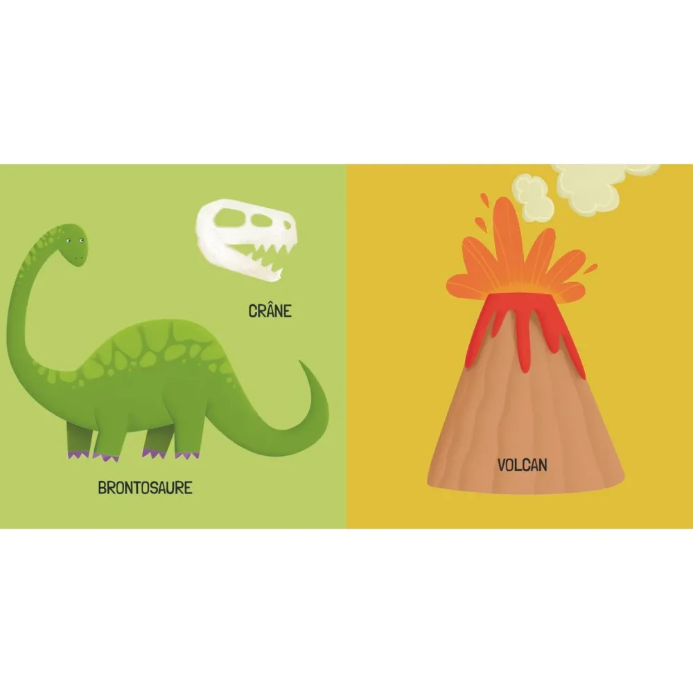 Sassi Les dinosaures - Livre + Puzzle 40 pièces^Enfant Puzzles Bébés Et Enfants