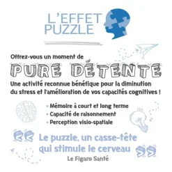 Nathan Puzzle 1000 pièces Vue surles falaises d'Etretat - Collection Des Racines et des Ailes^ Puzzles De 1000 À 1499 Pièces