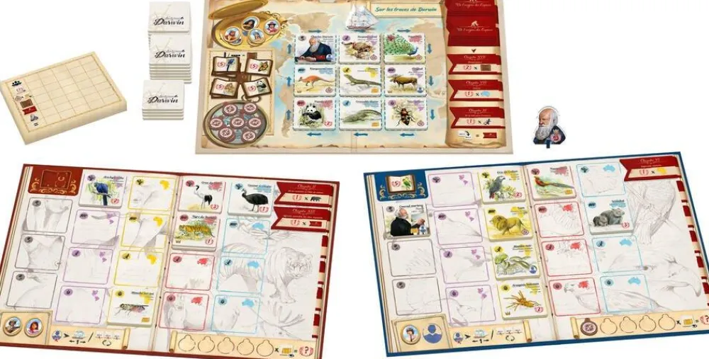 Gigamic Sur les traces de Darwin^ Jeux De Stratégie Et De Réflexion