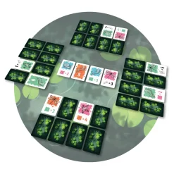 Blackrock Symbiose^ Jeux De Stratégie Et De Réflexion