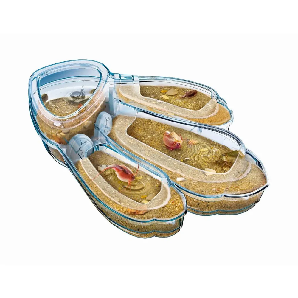 Clementoni Triops - Les Animaux Préhistoriques^ Autres Jeux Scientifiques